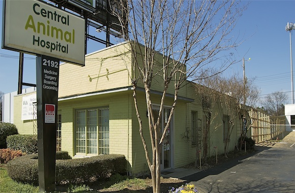 The old Central Animal Hospital space