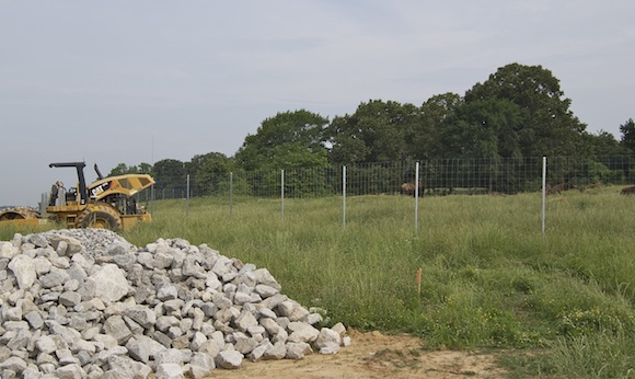 Earth movers and bison share the pasture at Shelby Farms Park