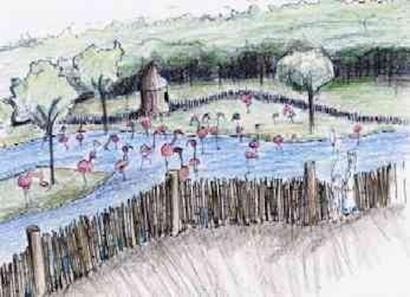 Conceptual drawing of Flamingo Flats, the new home for the Memphis Zoo's flamingo flock