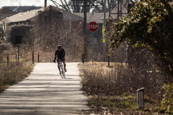 Cyclist on the Greenline