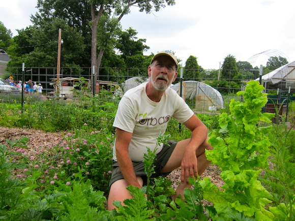 Dennis O'Bryan is the manager at Urban Farms, a farm in Memphis's Binghampton neighborhood that provides produce for Bring It's CSA shares