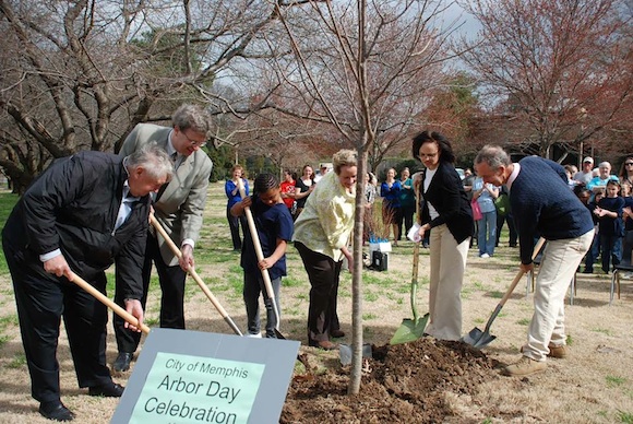 Memphis City Beautiful leads tree plantings on Arbor Day.