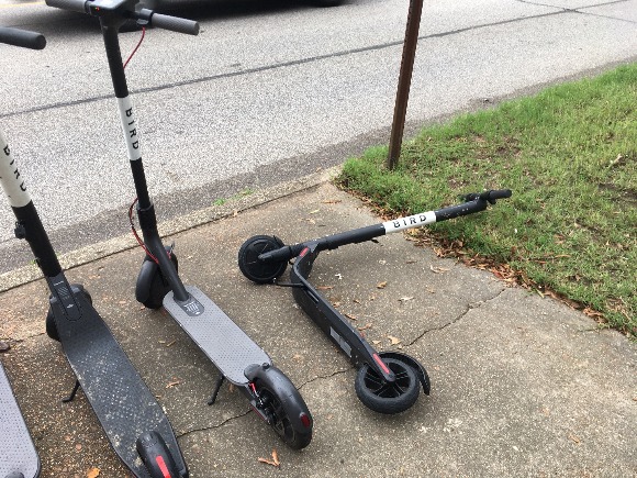 A power-drained Bird scooter on Central Avenue near Christian Brothers University. (Cole Bradley)