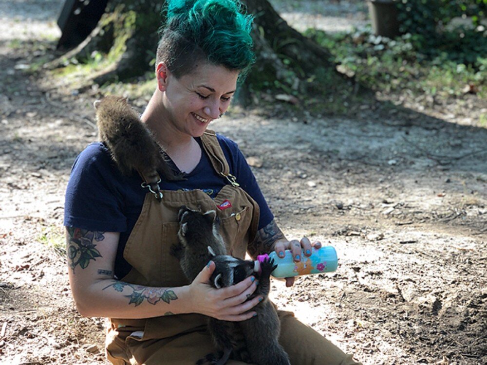 Sami Harvey is the founder of Out of the Woods Wildlife Rescue and Rehab. The center is located on Harvey's property in Shelby Forest and gives native woodland critters like raccoons, skunks, opossums, and squirrels a second chance. (Submitted)