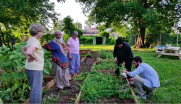Local leaders from the Muslim community assist at the Thistle & Bee farm.