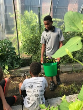 Student entrepreneur Barak Muhammad makes gardening a family affair as he explains how to use a garden claw to his younger brother. (Cole Bradley)