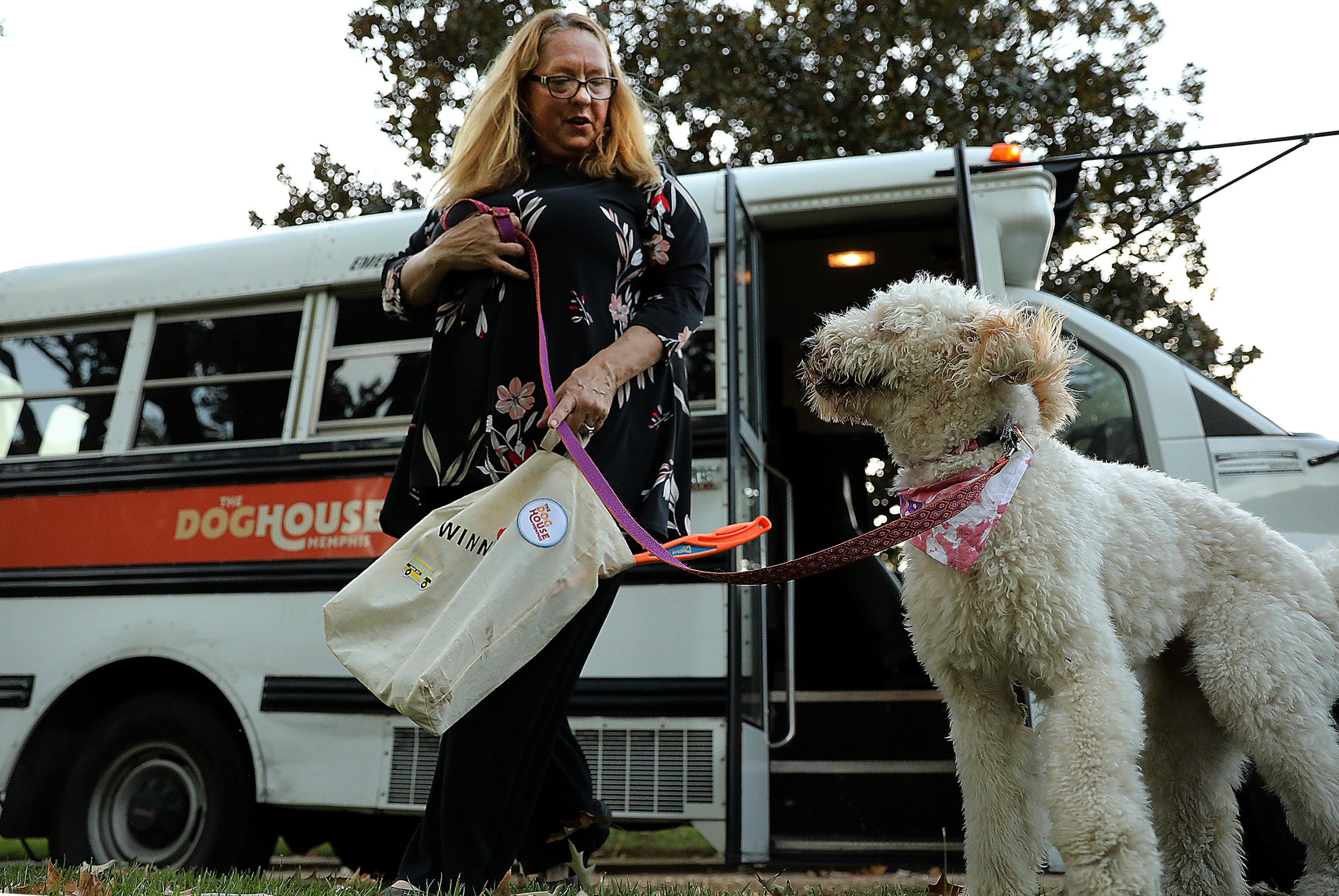 Office manager Judith Currin drops a client off at home after a busy day at daycare. A ride in the custom bus is a favorite activity for the dogs. (Patrick Lantrip/Daily Memphian)
