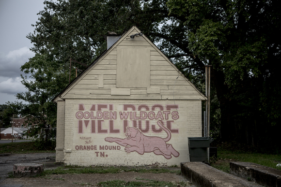 A mural on the side of a snack stand along Park Avenue.