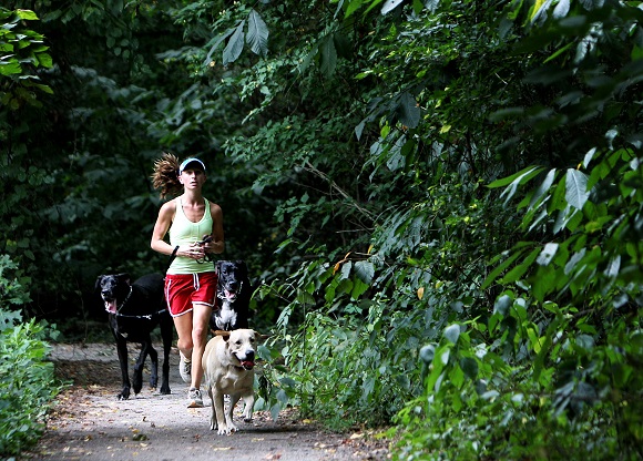 overton park