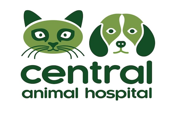 Central Animal Hospital