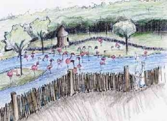 Conceptual drawing of Flamingo Flats, the new home for the Memphis Zoo's flamingo flock