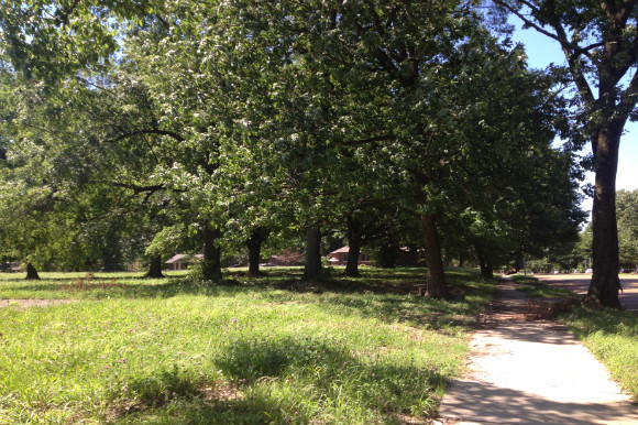 Hedgepeth will build single-family homes at corner of Autumn and E. Parkway in Midtown.