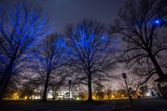 Blue CRUSH in Overton Park