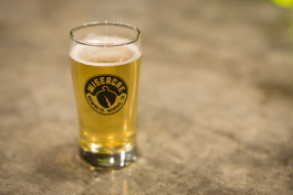 Wiseacre variety Dr. Gibbler: Smoked Helles
