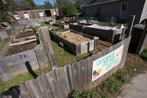 The Angelus Street Garden is a community garden supported by GrowMemphis