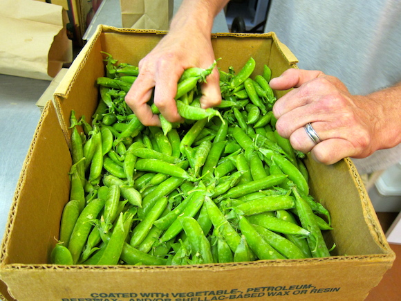 Working with about 20 local farms, Bring It sources everything from bing cherries and bell peppers to spring onions and sugar snap peas