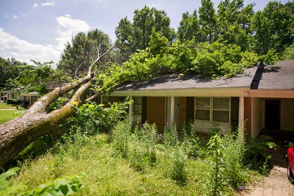 A tree lies across the roof of a vacant home in Frayser