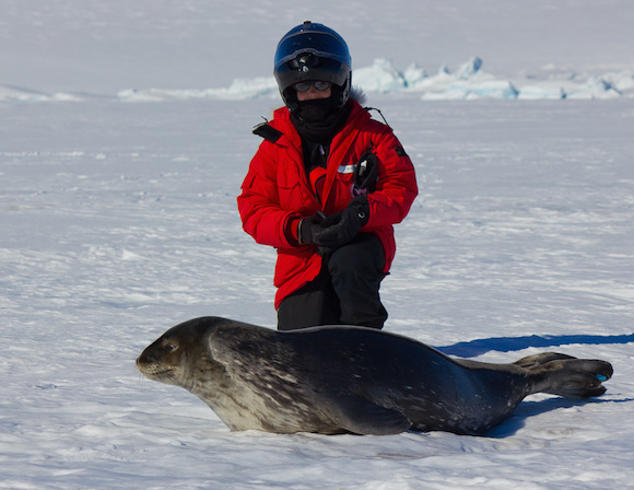 Alex Eilers and a Weddell seal pup at Turtle Rock, Antarctica