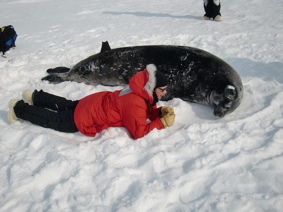 Alex Eilers measures up to the seal near Scott Base, Antarctica
