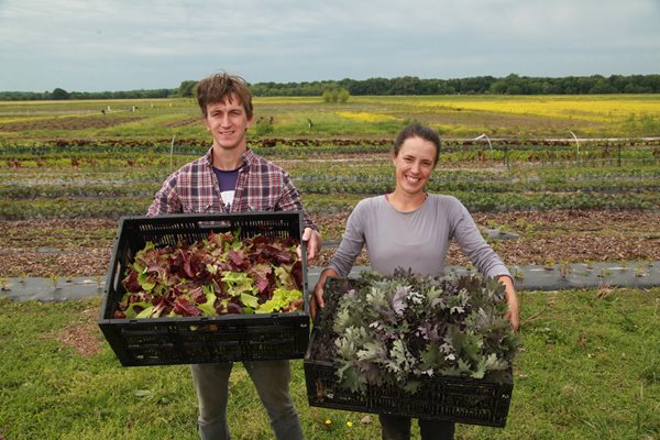 Roots Farm