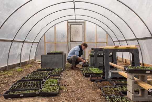 Roots Memphis Hoop House