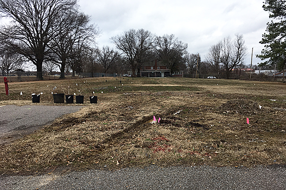 About two acres of land owned by Alpha Omega Veteran Services will be used for a new working urban farm. Veterans will learn to cultivate produce, tend to chickens, manage bee hives and a greenhouse.