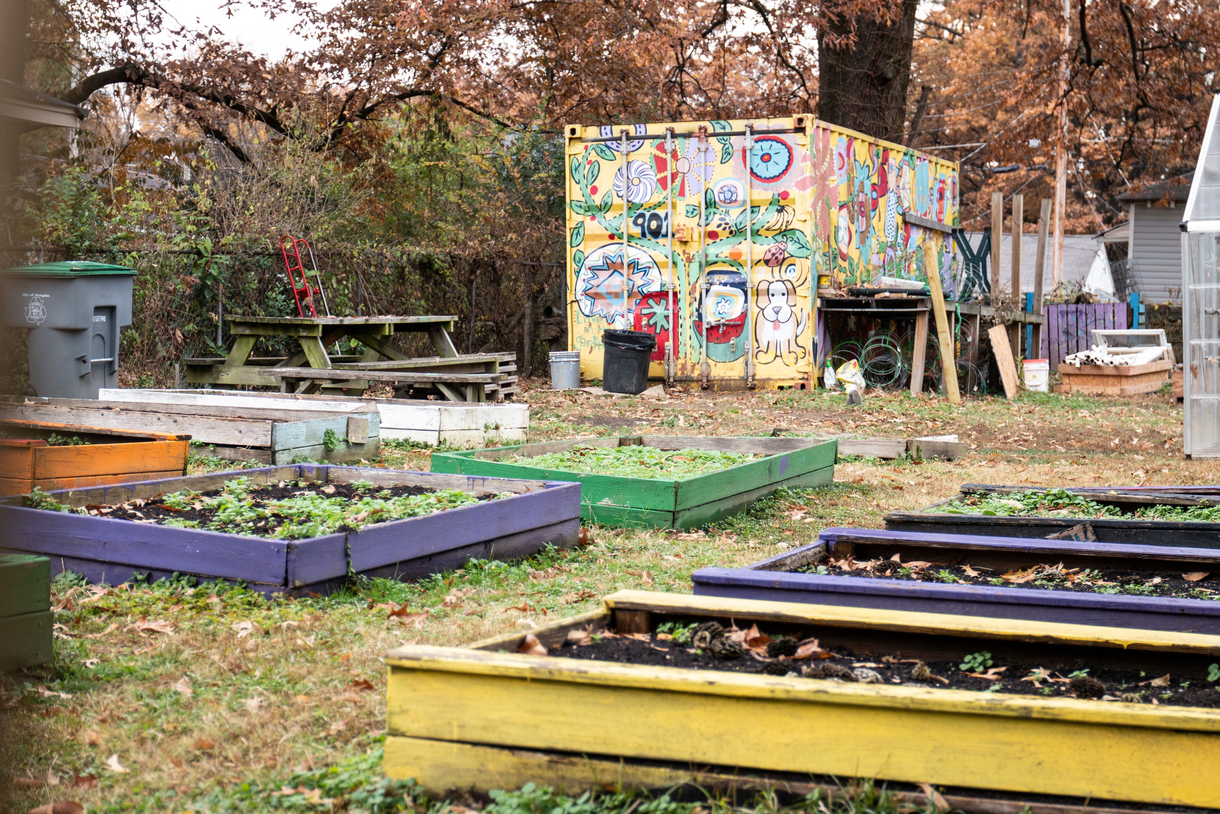Carpenter Art Garden has redeveloped three vacant lots into community gardens for the Binghampton community. According to Henry Nelson, they're in the works of acquiring more land in an effort to reverse blight. (Kirstin Cheers)