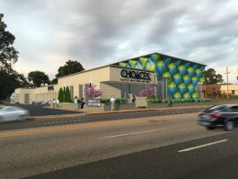 Midwife Led Birthing Center Bridges Memphis Health Disparity Gap