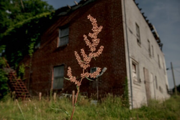 "These grants are a significant milestone for us as it supports our commitment to revitalizing strategic areas in Memphis and promoting environmental justice," said Ashely Cash, Dir. of Memphis' Division of Housing and Community Development.