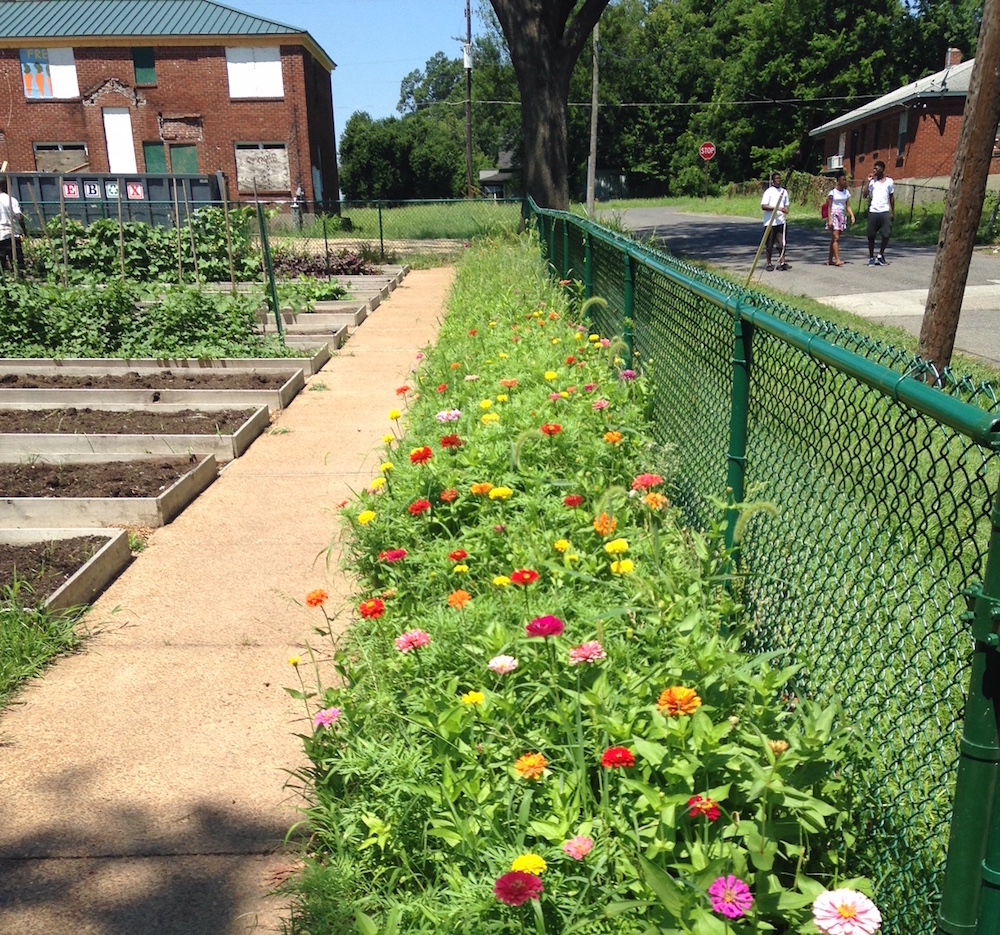 Neighbors walk beside the Greenleaf Learning Farm. 