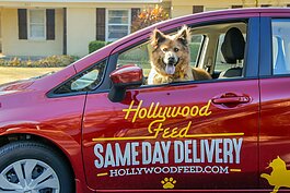 A furry friend helps with Hollywood Feed's same-day deliveries. The regional chain has expanded its same-day service through April 30. (Hollywood Feed)