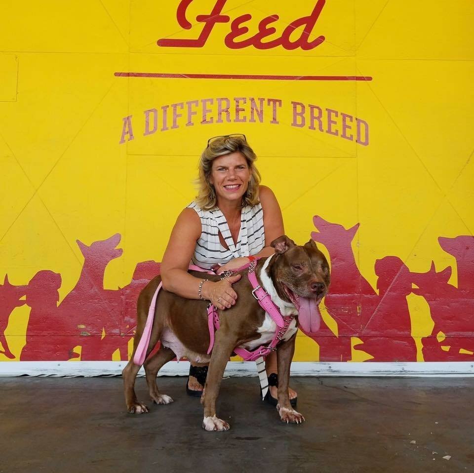 Hollywood Feed owner Jean McGhee. (Hollywood Feed)