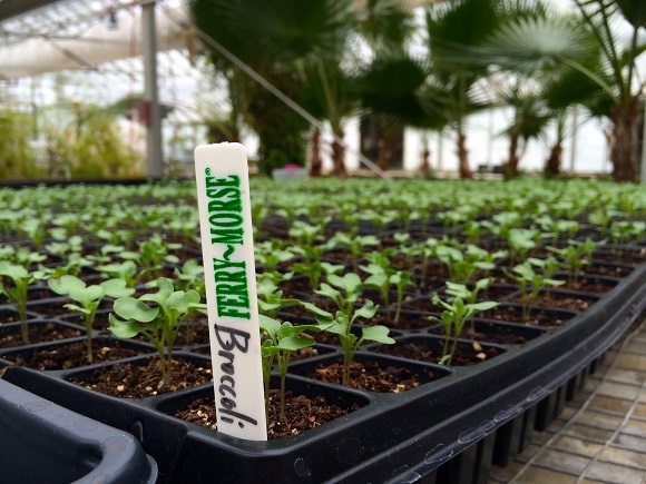 The Youth Farm program is coming to fruition just in time for the planting season this spring.