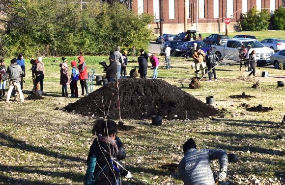 Volunteers work in groups to plant trees and clear walkways in the area that will become the park-like promenade in a Medical District vacant lot. (Cole Bradley)