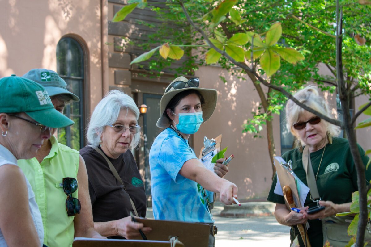 A representative from Memphis City Beautiful and members of the Memphis Botanic Garden Tree Team prepare for a certification on a new arboretum in Victorian Village. (HGN/Sarah Rushakoff)