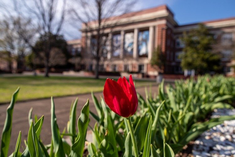 The inaugural Central to the Arts Festival is scheduled from 10 a.m. to 4 p.m. on Saturday, April 1.