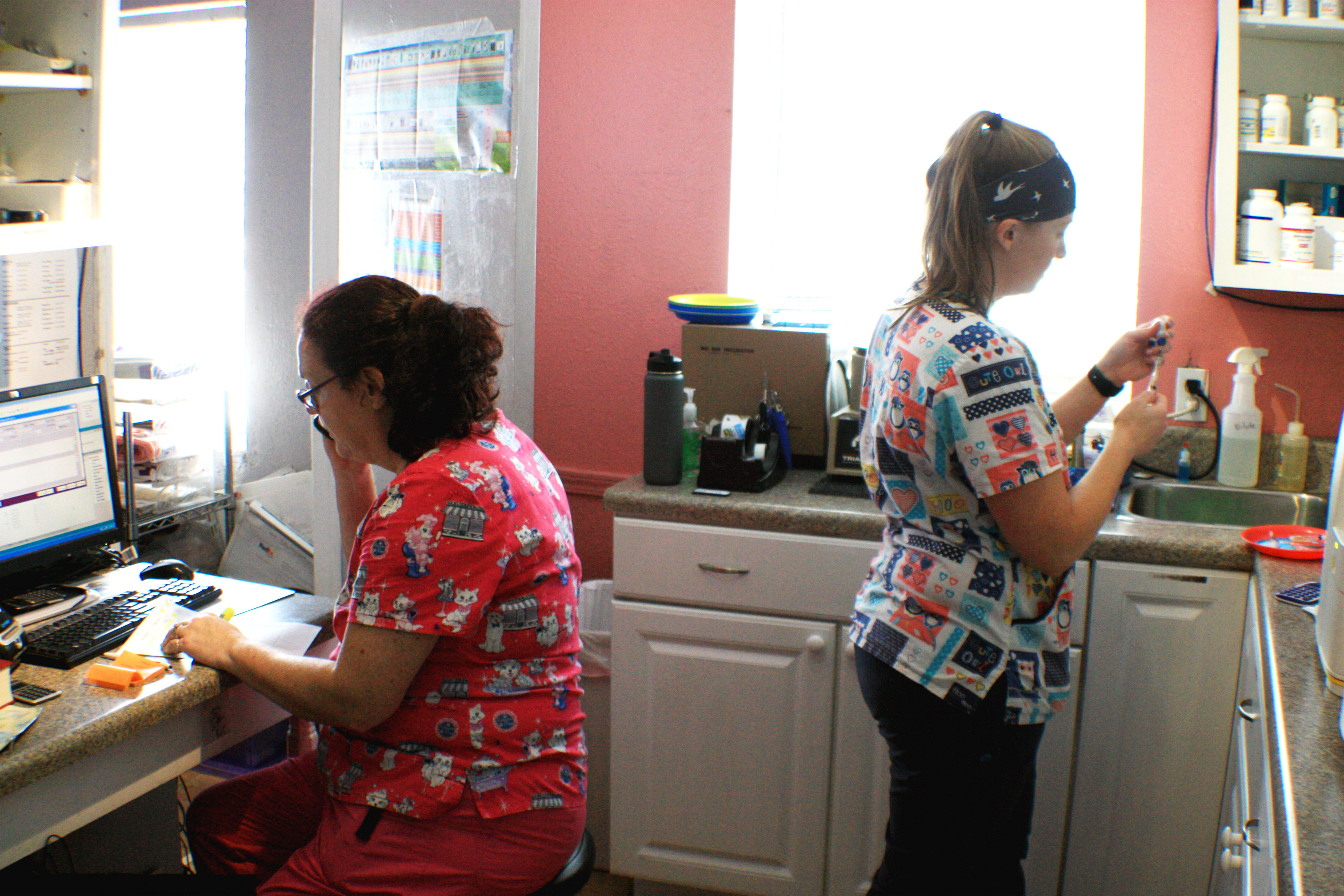 Utopia Animal Hospital's clinic staff call clients and prepare medication in the clinic's staff-only areas. The clinic is located at 1157 Madison Avenue. (Cole Bradley)